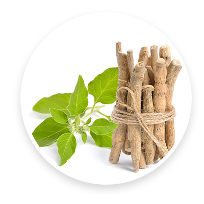 Ashwagandha Extract